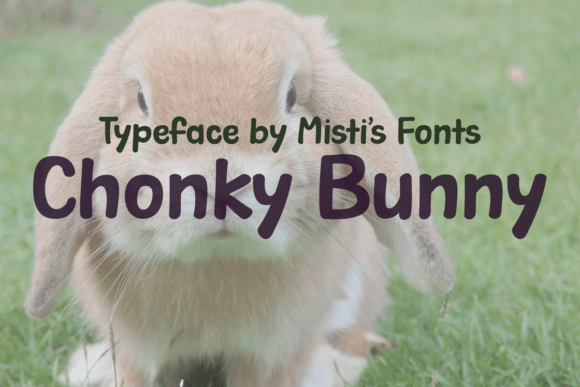 Chonky Bunny: A Playful Typeface for Branding