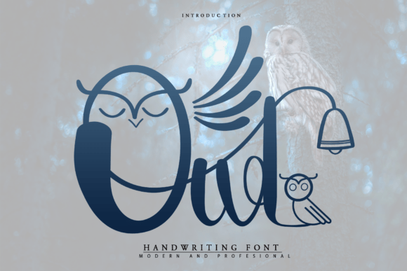 Owl: A Delicate Script Font for Makers