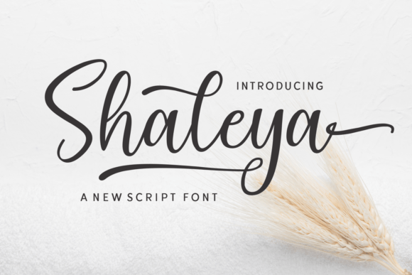 Shaleya: A Graceful Script Font for Editorial Design