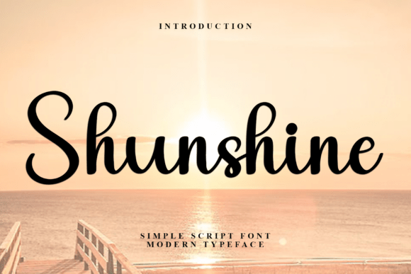 Shunshine: A Designer’s Honest Review for Real Projects
