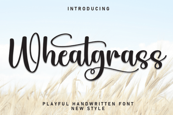 Wheatgrass Typeface Review: Elegant Script for Branding